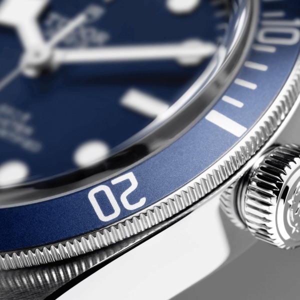 Tudor bleu online