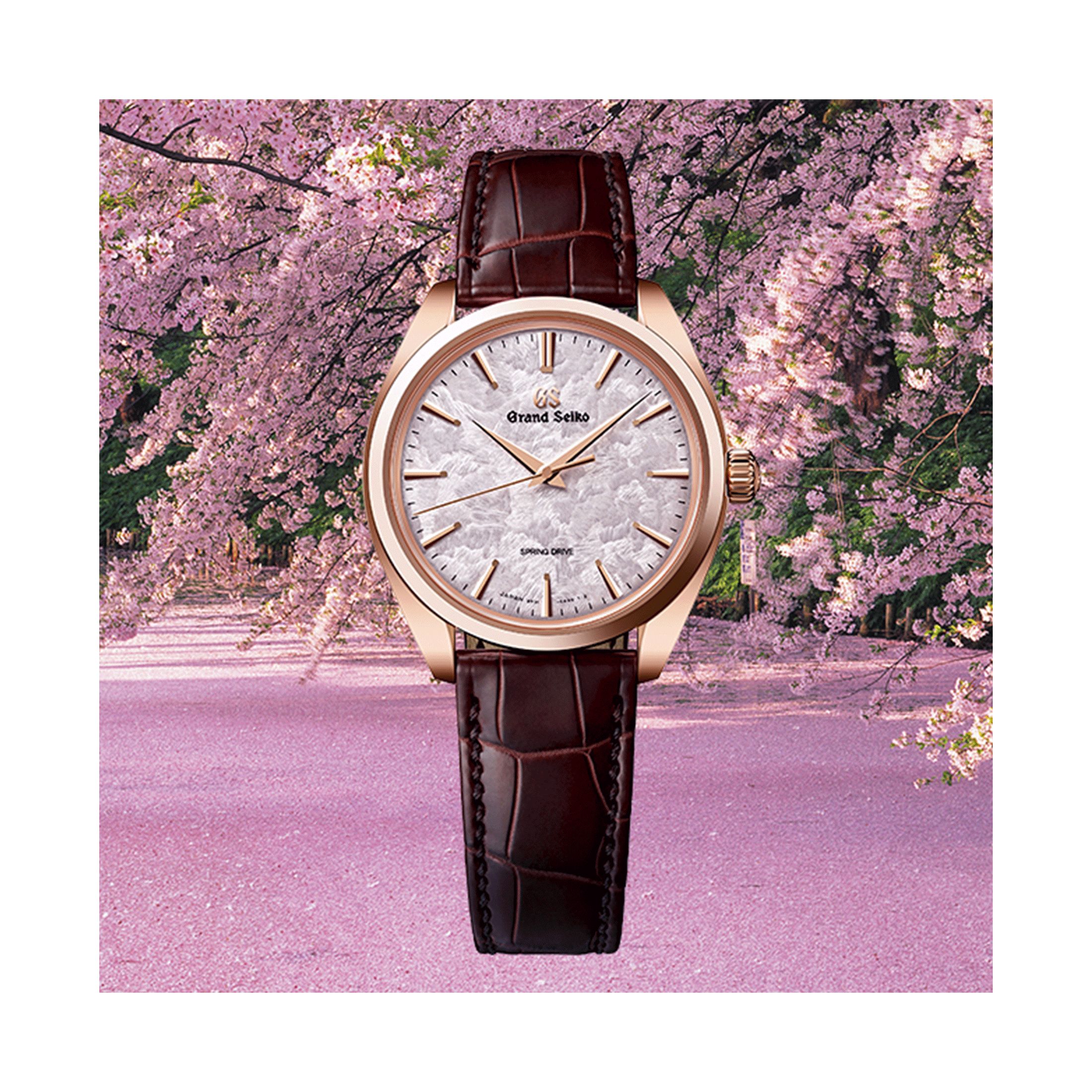 Grand Seiko Elegance Spring Drive