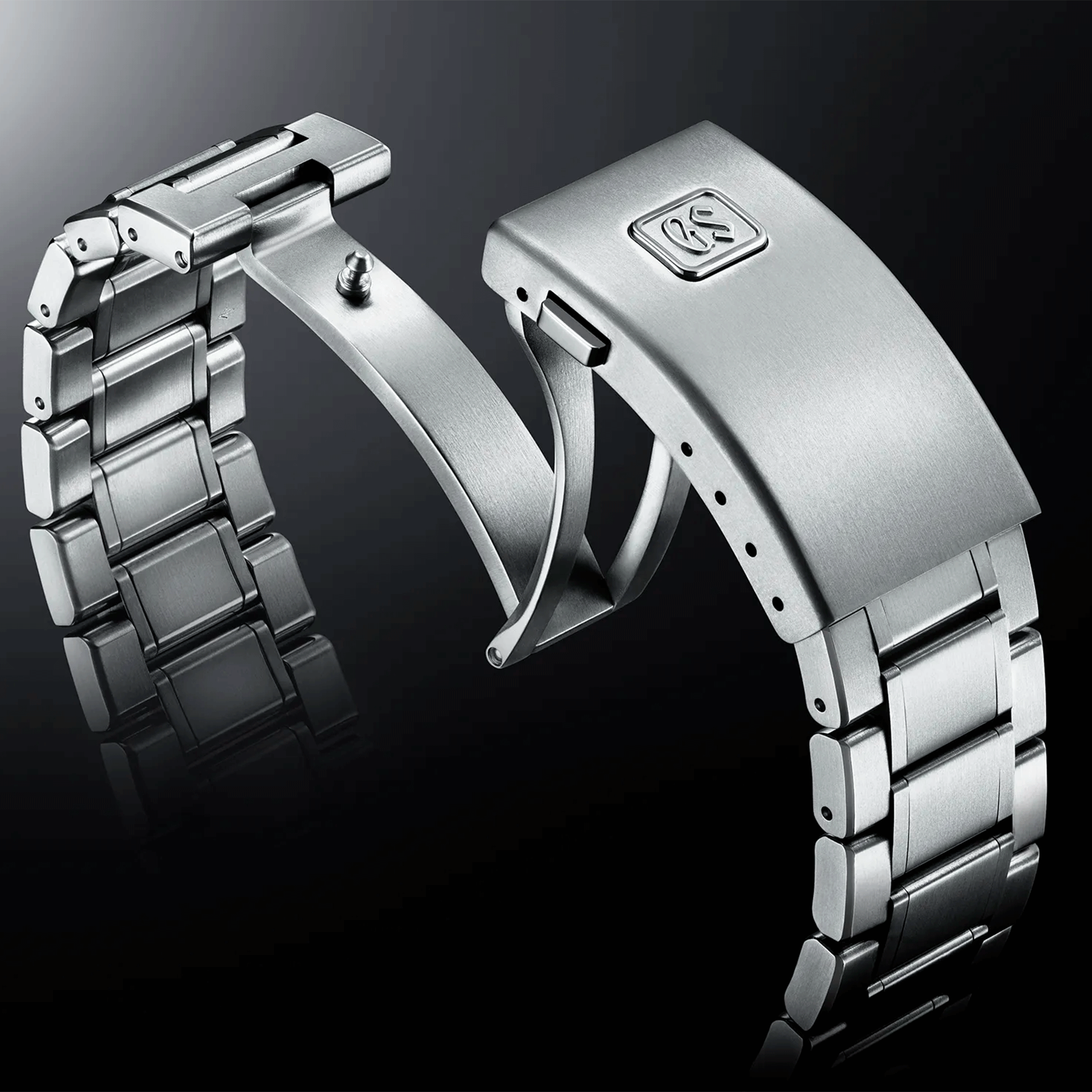 Seiko titanium outlet band