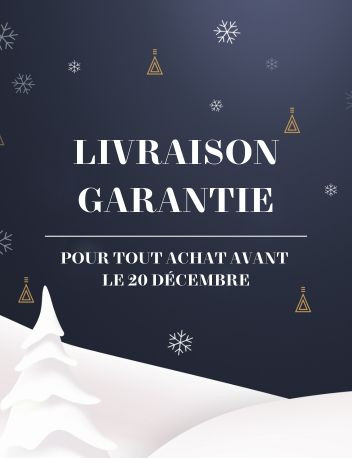 livraison Noel